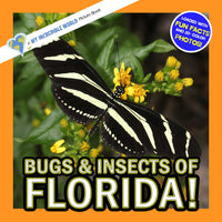 Bugs & Insects of Florida! A My Incredible World Picture Book for Children