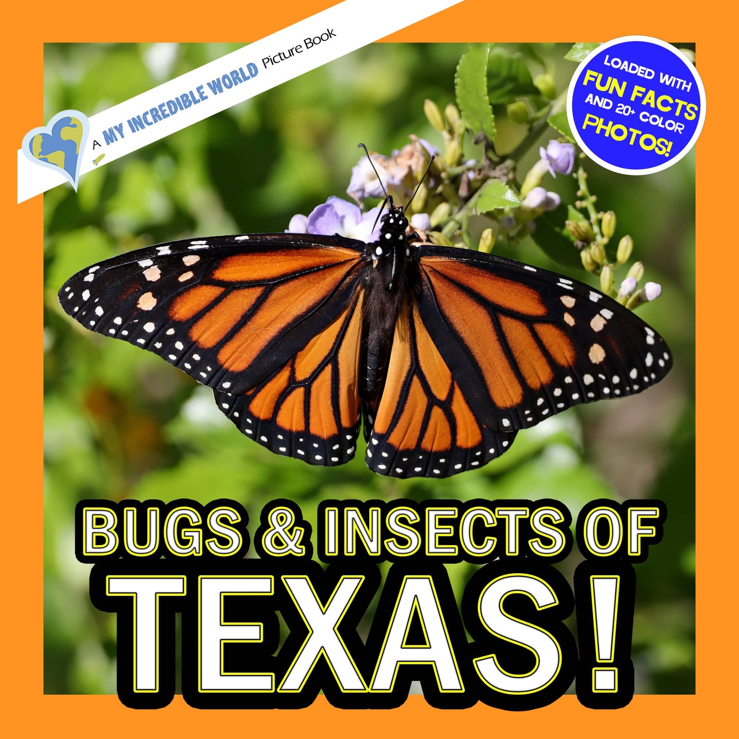 Bugs & Insects of Texas! A My Incredible World Picture Book for Children
