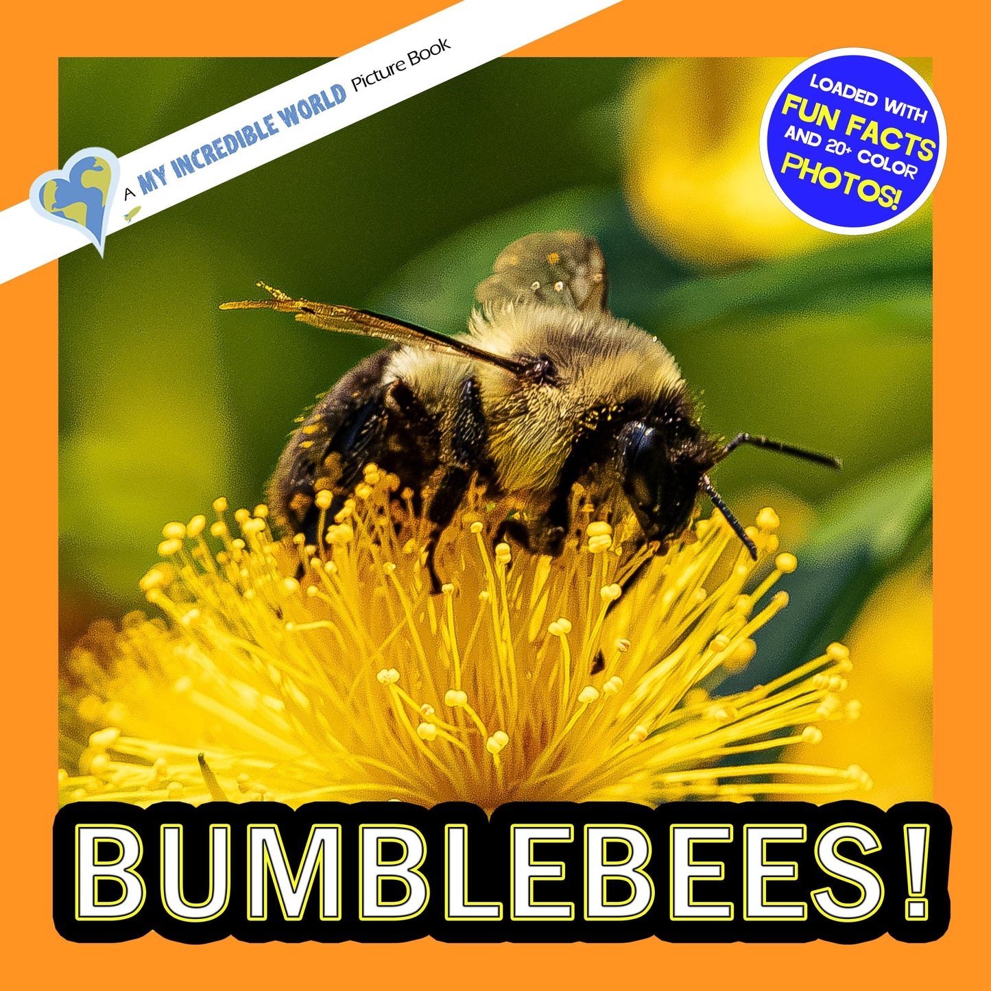 Bumblebees! A My Incredible World Picture Book for Children