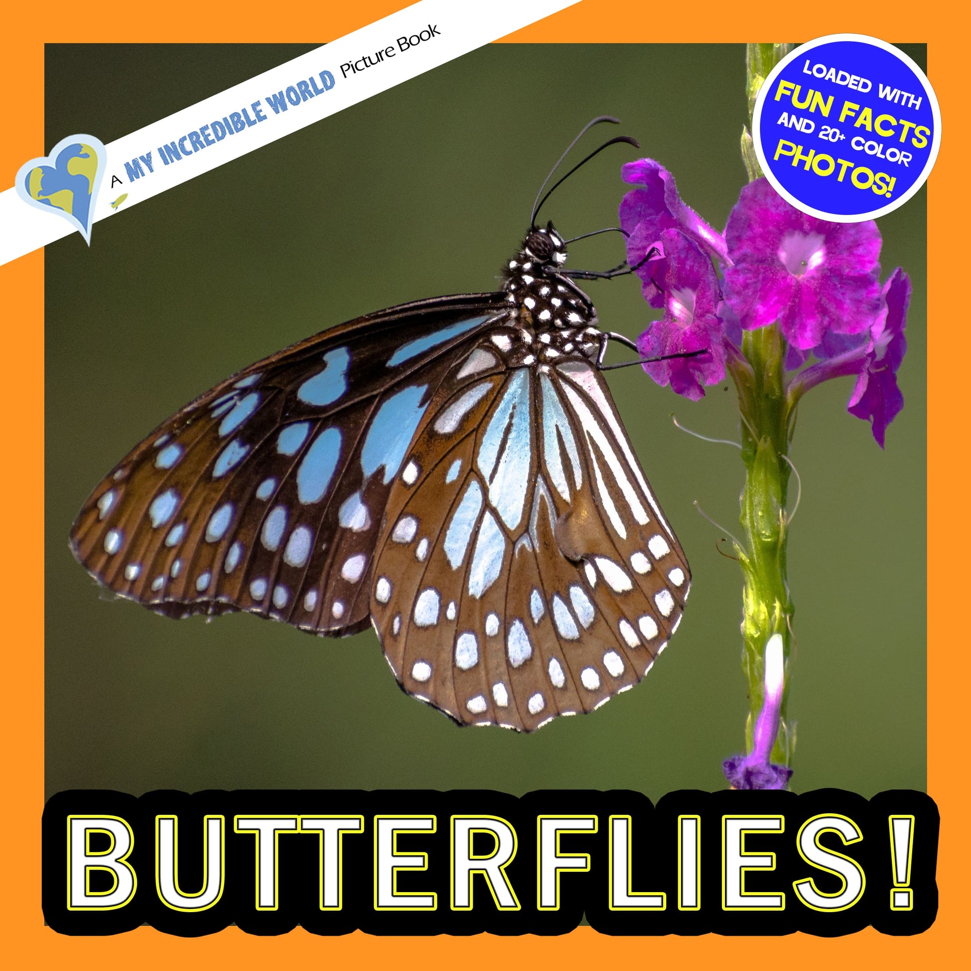 Butterflies! A My Incredible World Picture Book for Children