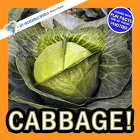 Cabbage! A My Incredible World Picture Book for Children