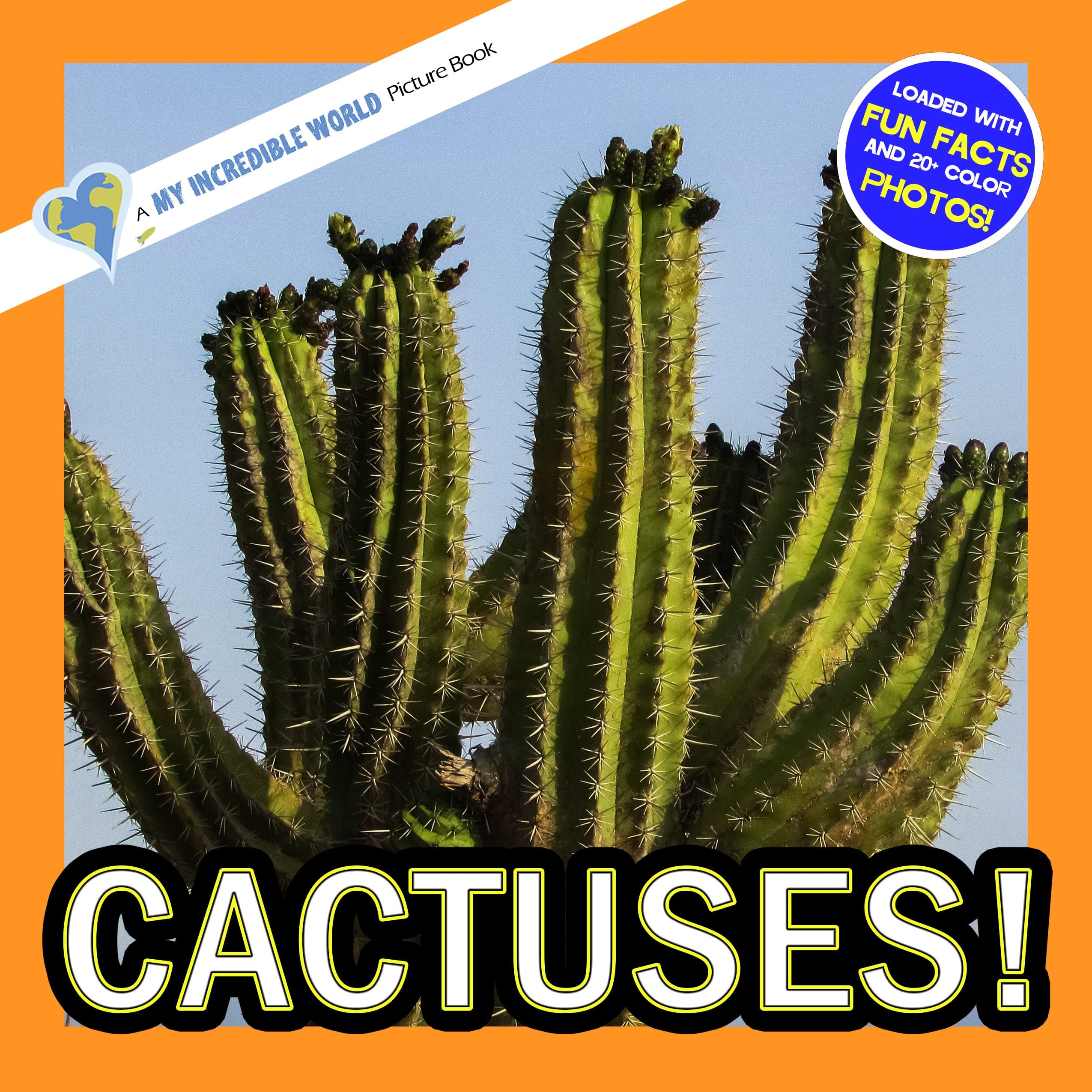 Cactuses! A My Incredible World Picture Book for Children