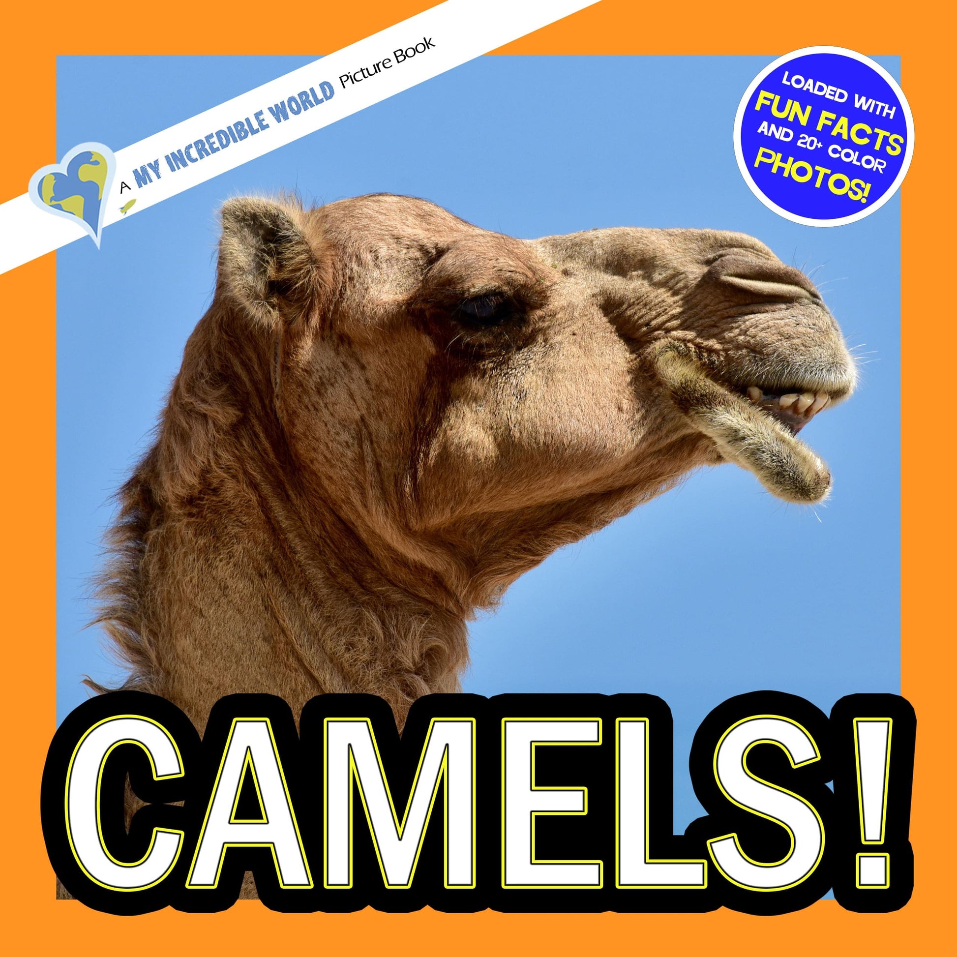 Camels! A My Incredible World Picture Book for Children