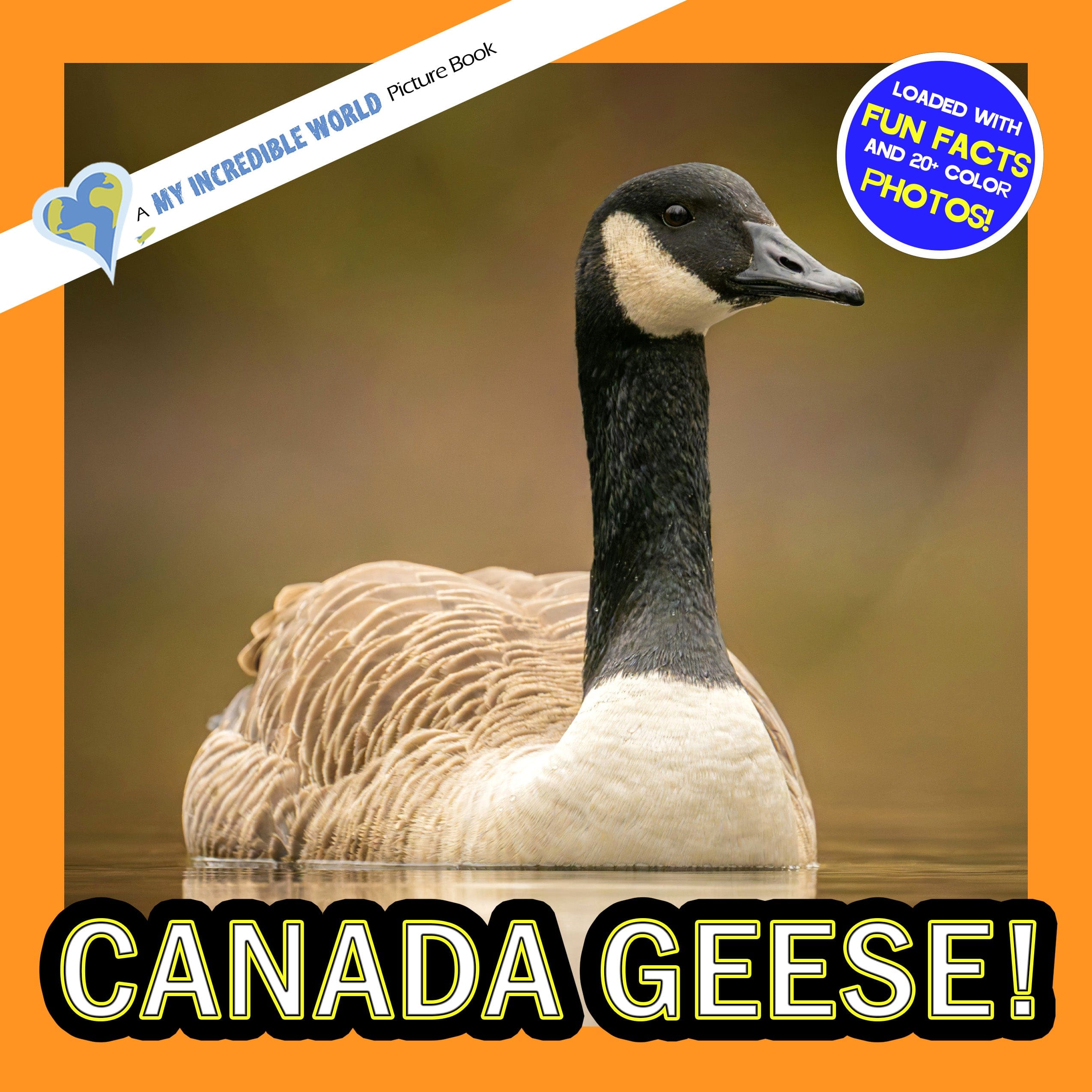 Canada Geese! A My Incredible World Picture Book for Children