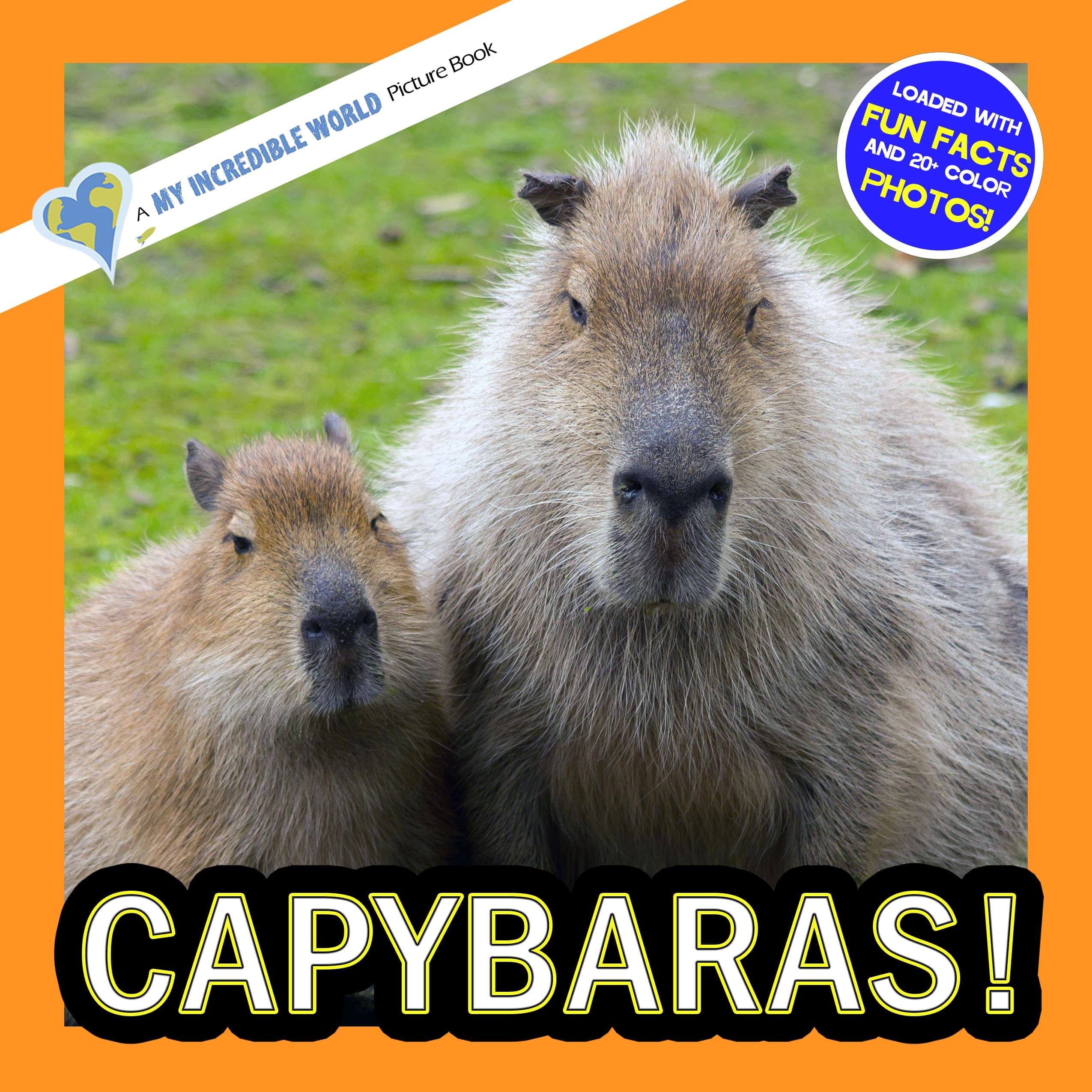 Capybaras! A My Incredible World Picture Book for Children