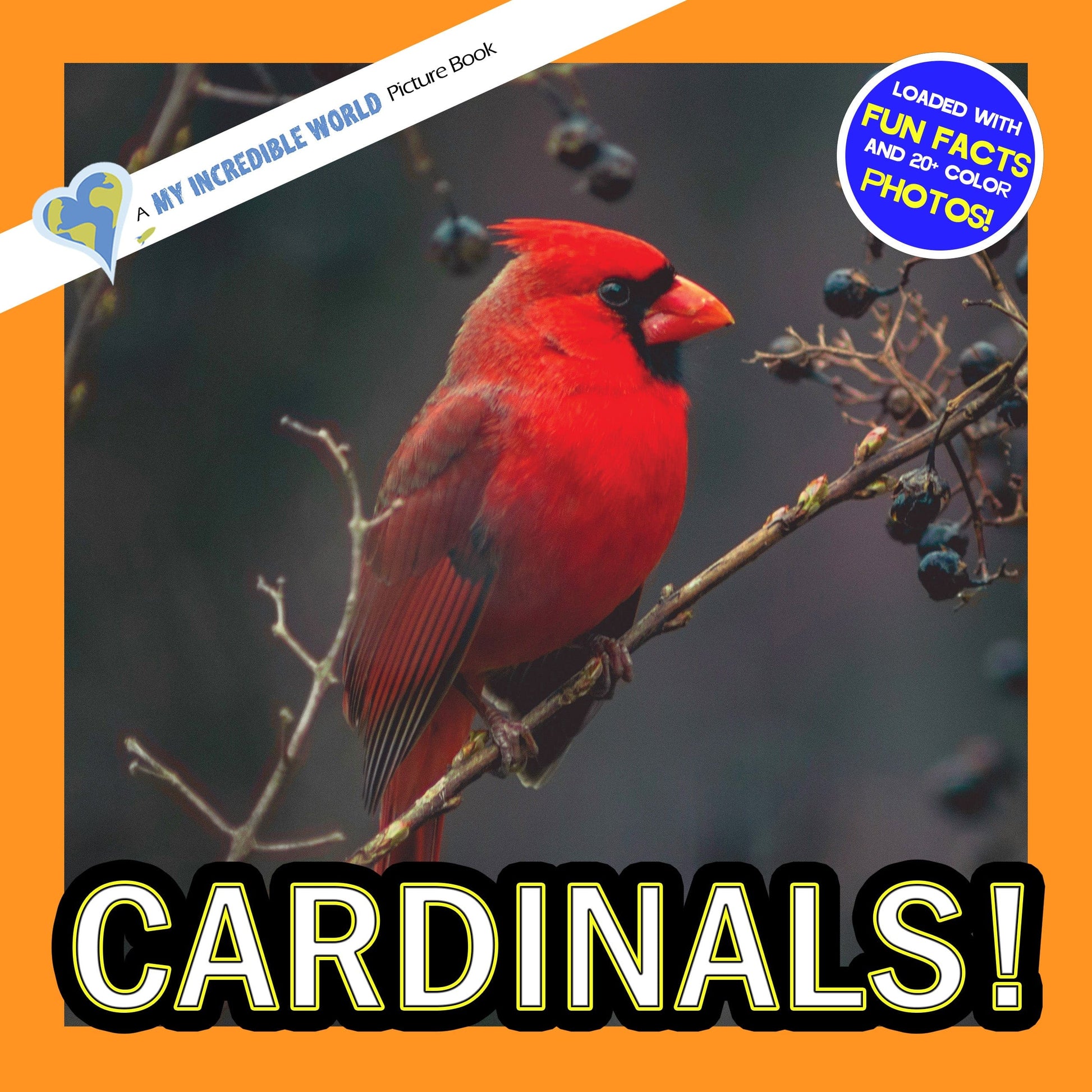 Cardinals! A My Incredible World Picture Book for Children