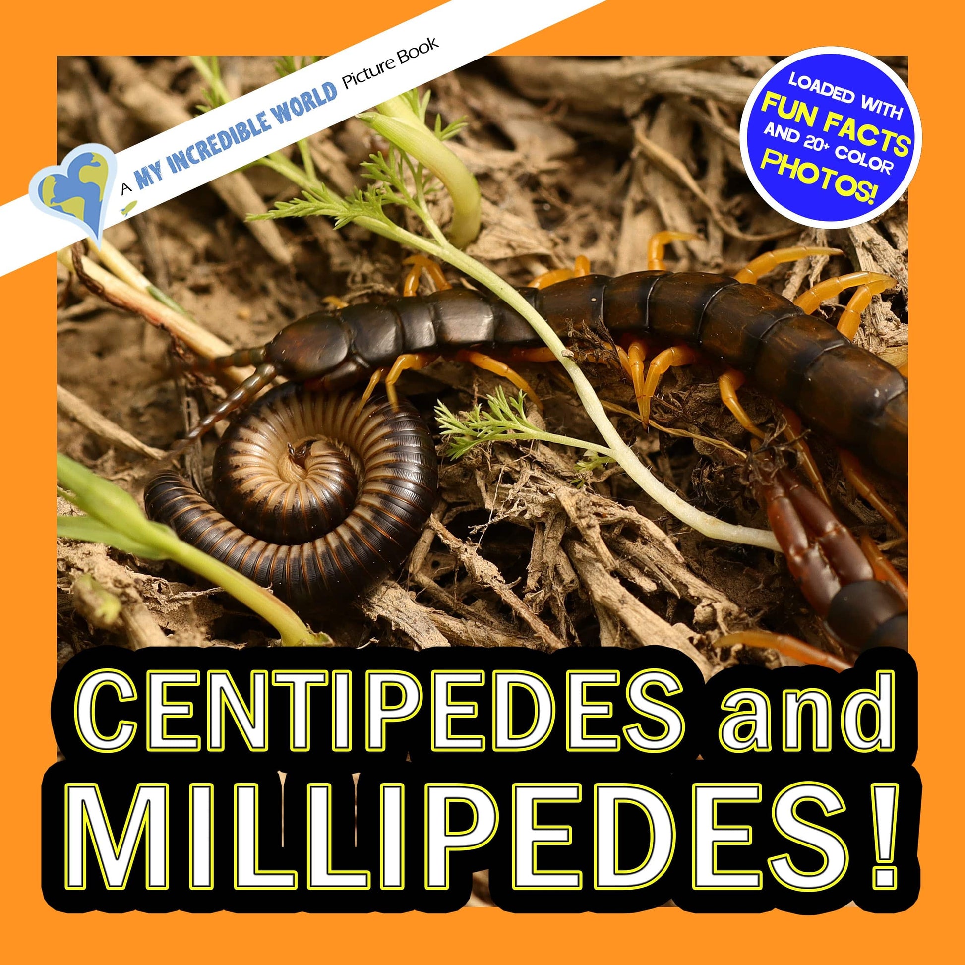 Centipedes and Millipedes! A My Incredible World Picture Book for Children