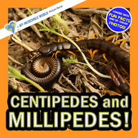Centipedes and Millipedes! A My Incredible World Picture Book for Children