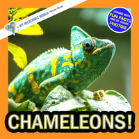 Chameleons! A My Incredible World Picture Book for Children