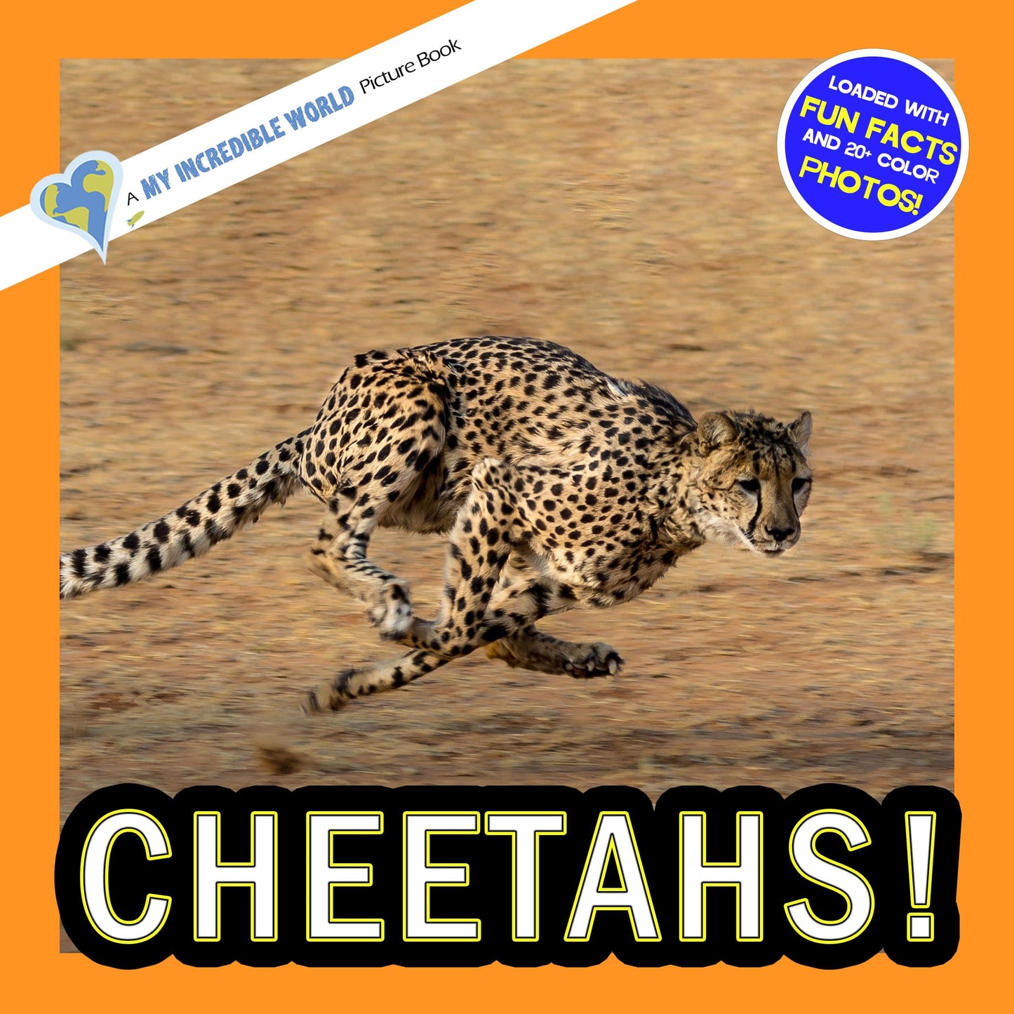 Cheetahs! A My Incredible World Picture Book for Children