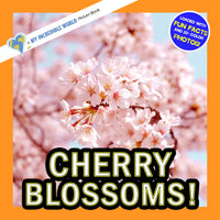 Cherry Blossoms! A My Incredible World Picture Book for Children