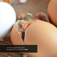 Chicks! A My Incredible World Picture Book for Children