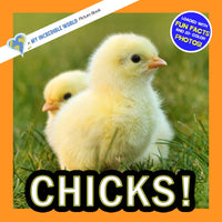 Chicks! A My Incredible World Picture Book for Children