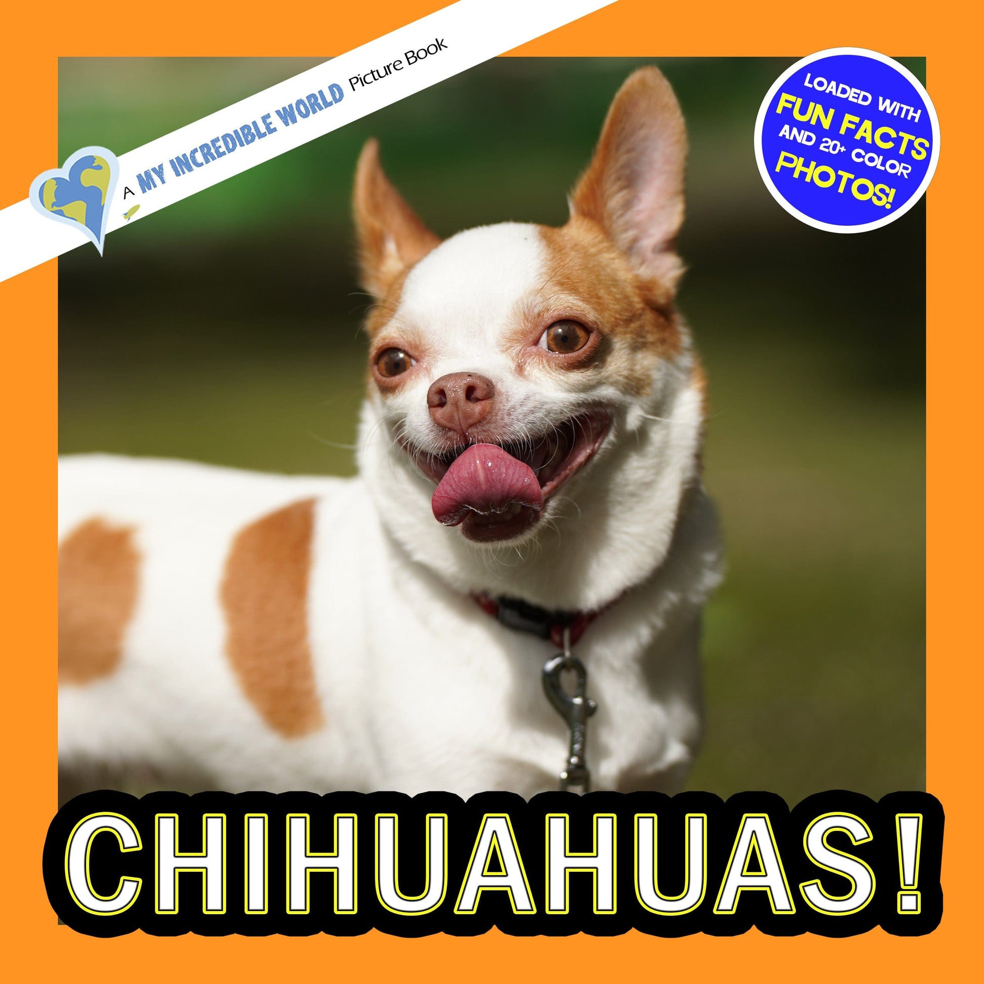 Chihuahuas! A My Incredible World Picture Book For Children