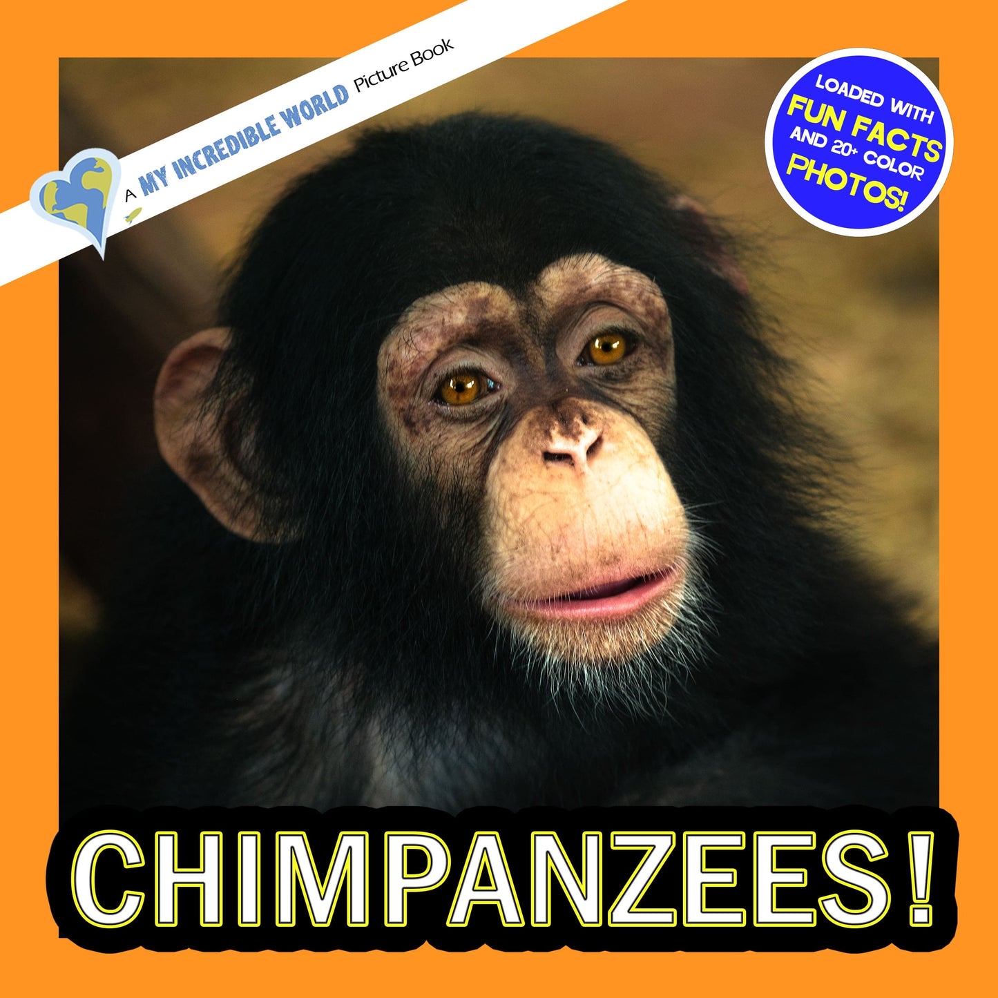 Chimpanzees! A My Incredible World Picture Book for Children