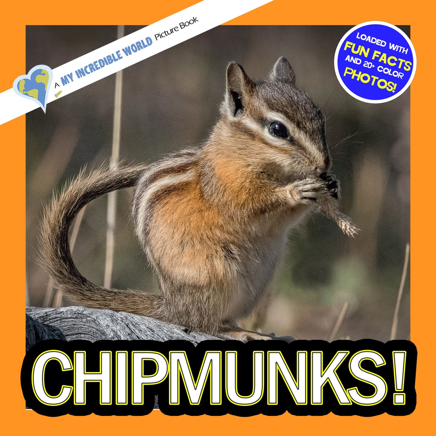 Chipmunks! A My Incredible World Picture Book for Children