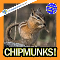 Chipmunks! A My Incredible World Picture Book for Children