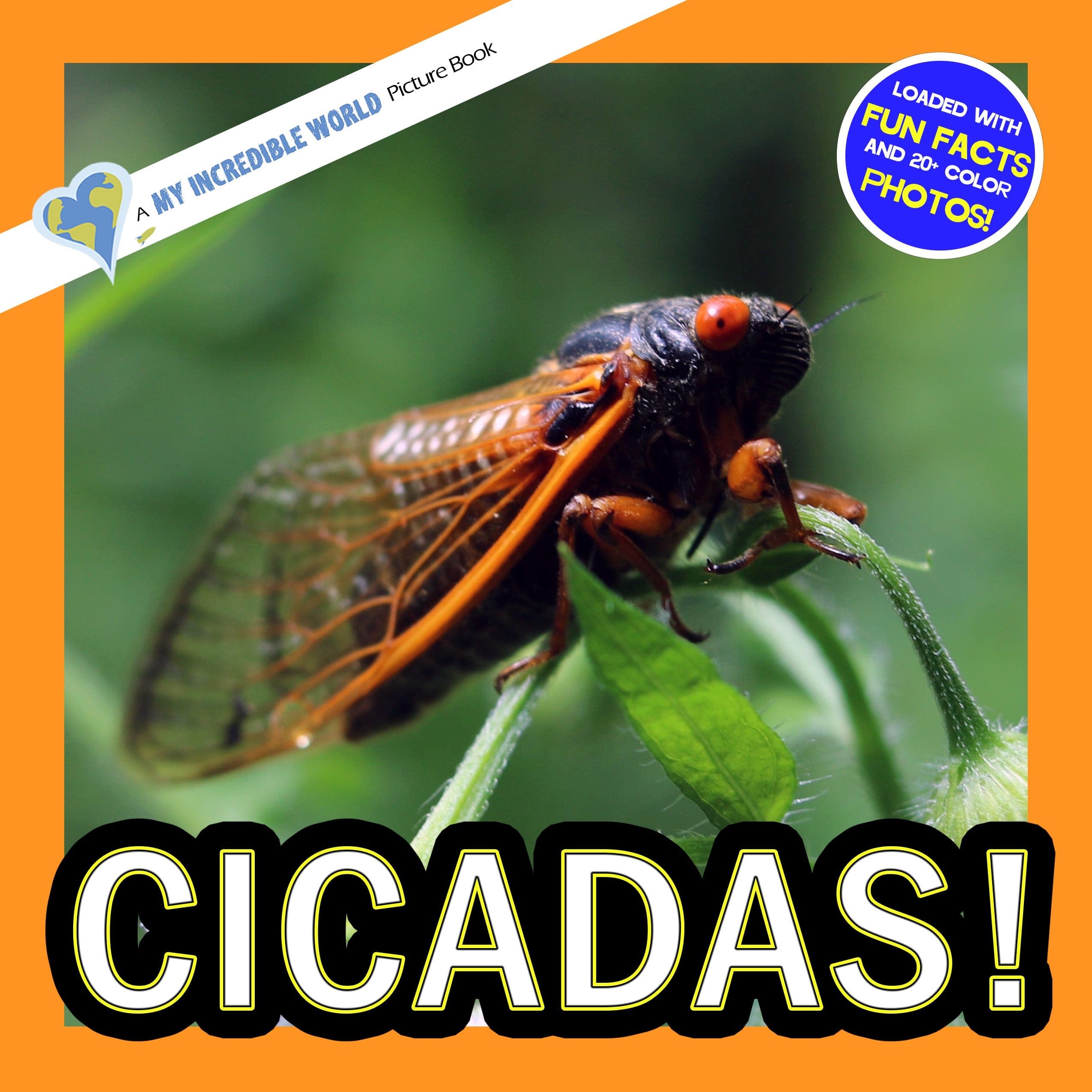 Cicadas! A My Incredible World Picture Book for Children