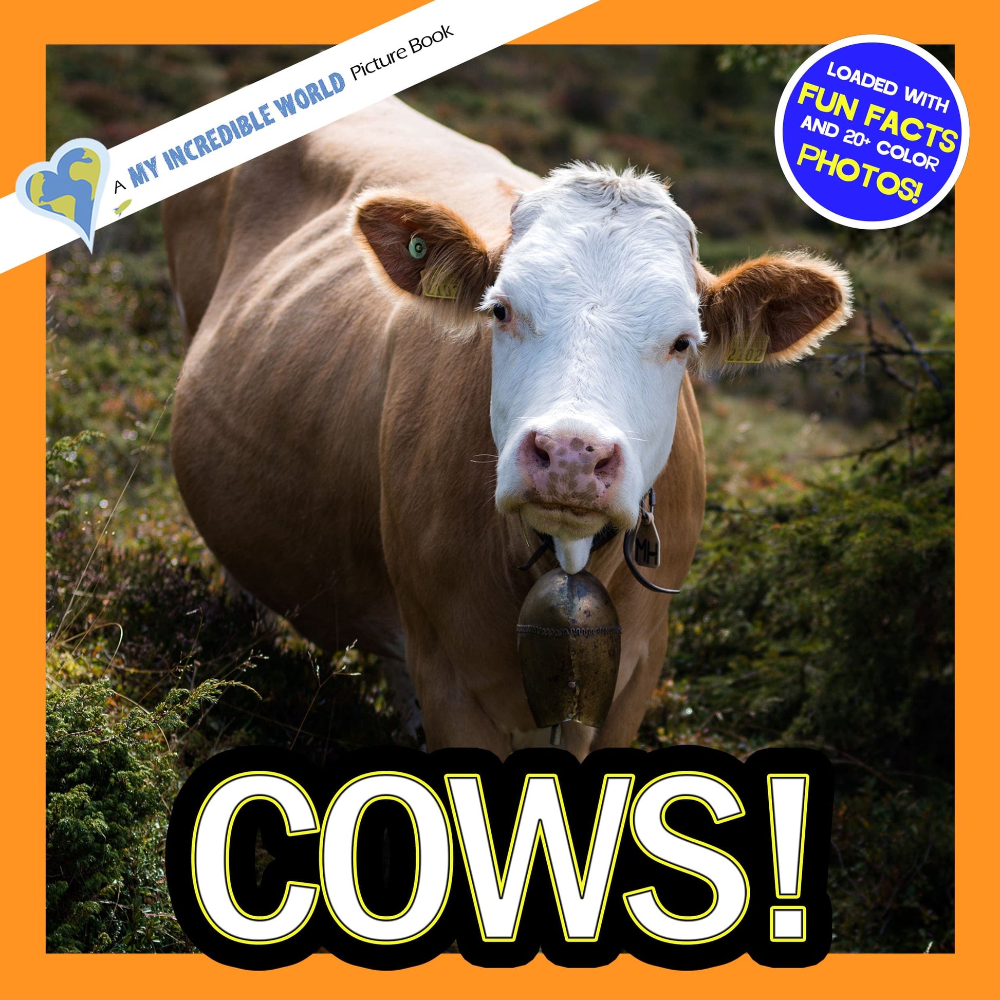 Cows! A My Incredible World Picture Book for Children