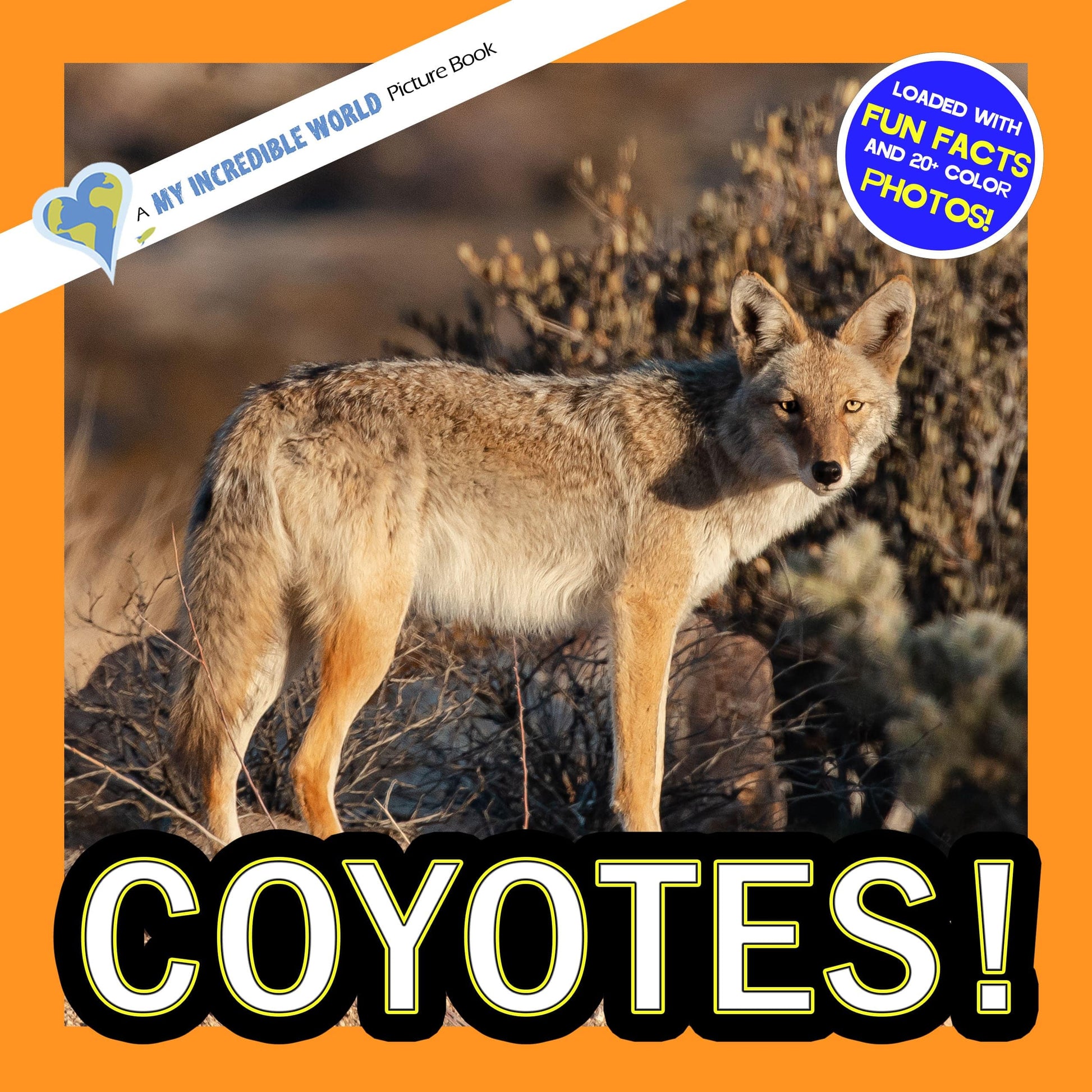 Coyotes! A My Incredible World Picture Book for Children