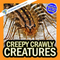 Creepy Crawly Creatures! A My Incredible World Picture Book for Children