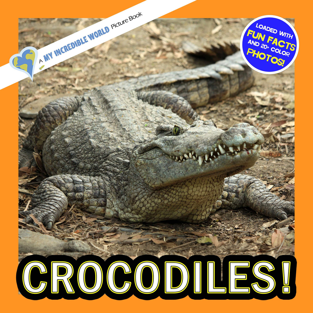 Crocodiles! A My Incredible World Picture Book for Children