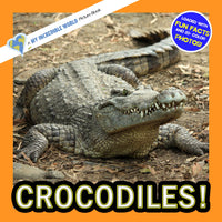 Crocodiles! A My Incredible World Picture Book for Children