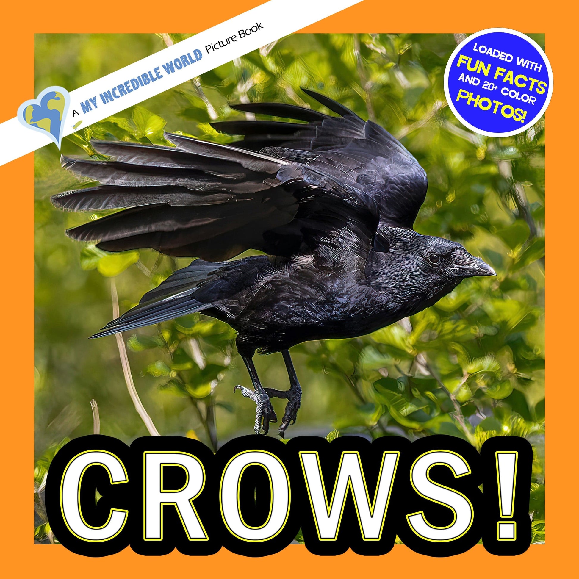 Crows! A My Incredible World Picture Book for Children