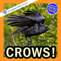 Crows! A My Incredible World Picture Book for Children