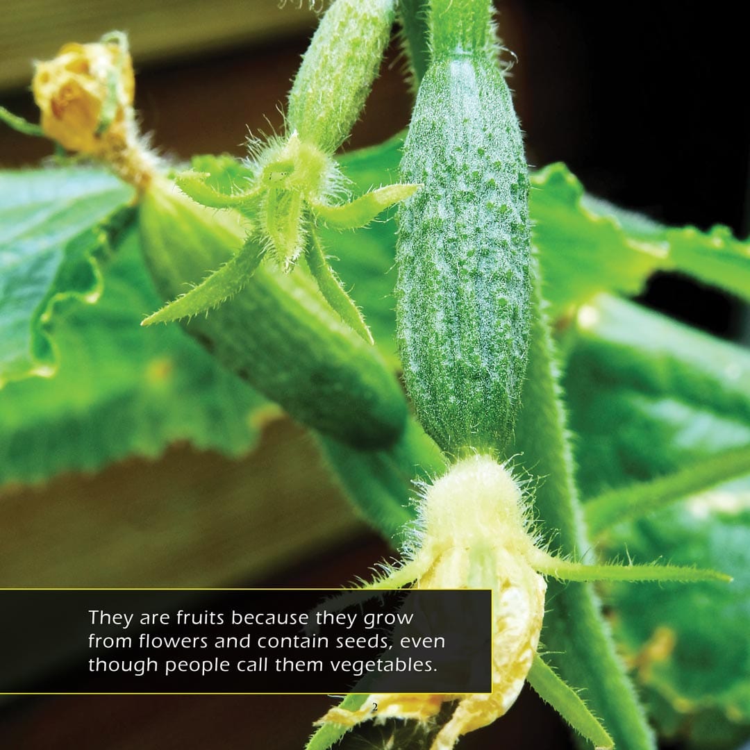 Cucumbers! A My Incredible World Picture Book For Children