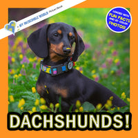 Dachshunds! A My Incredible World Picture Book for Children