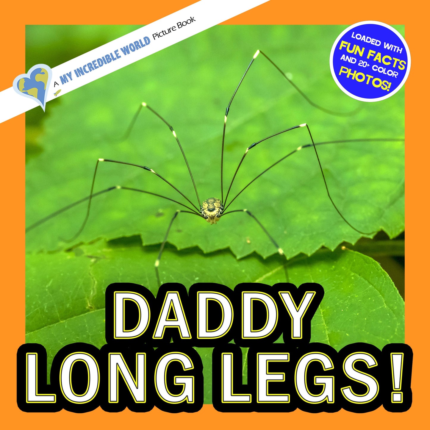 Daddy Long Legs! A My Incredible World Picture Book for Children