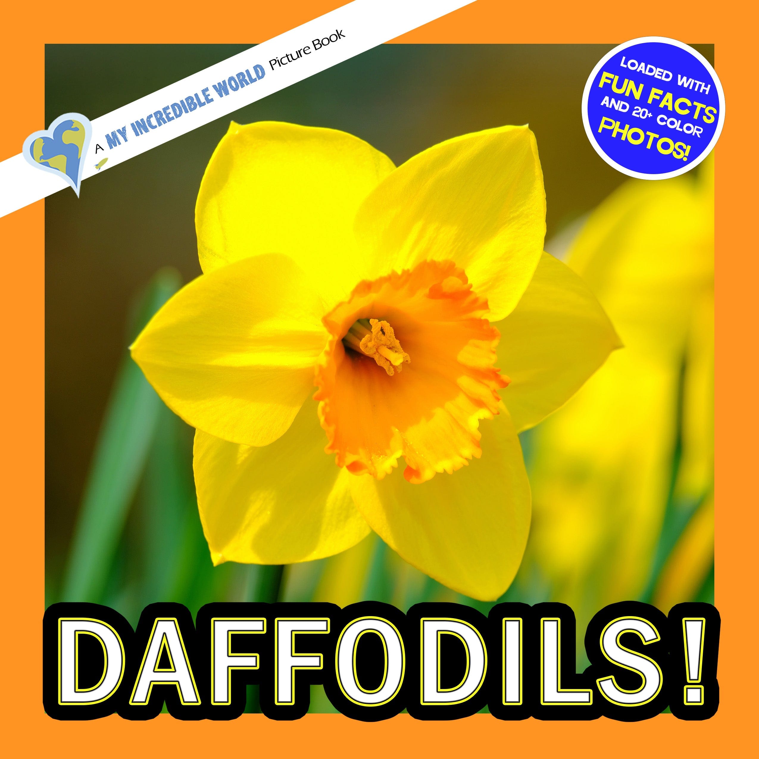 Daffodils! A My Incredible World Picture Book for Children