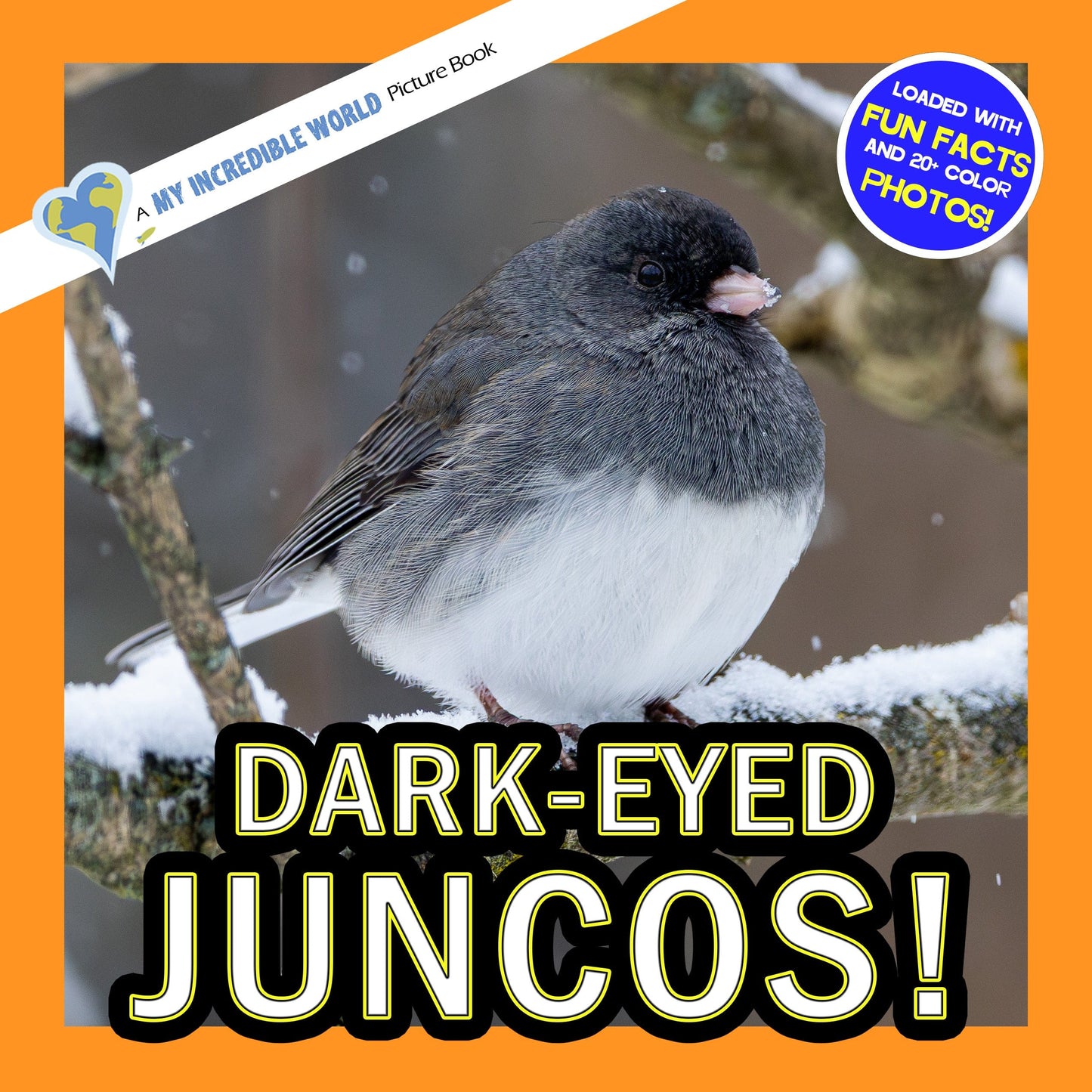 Dark-Eyed Juncos! A My Incredible World Picture Book for Children