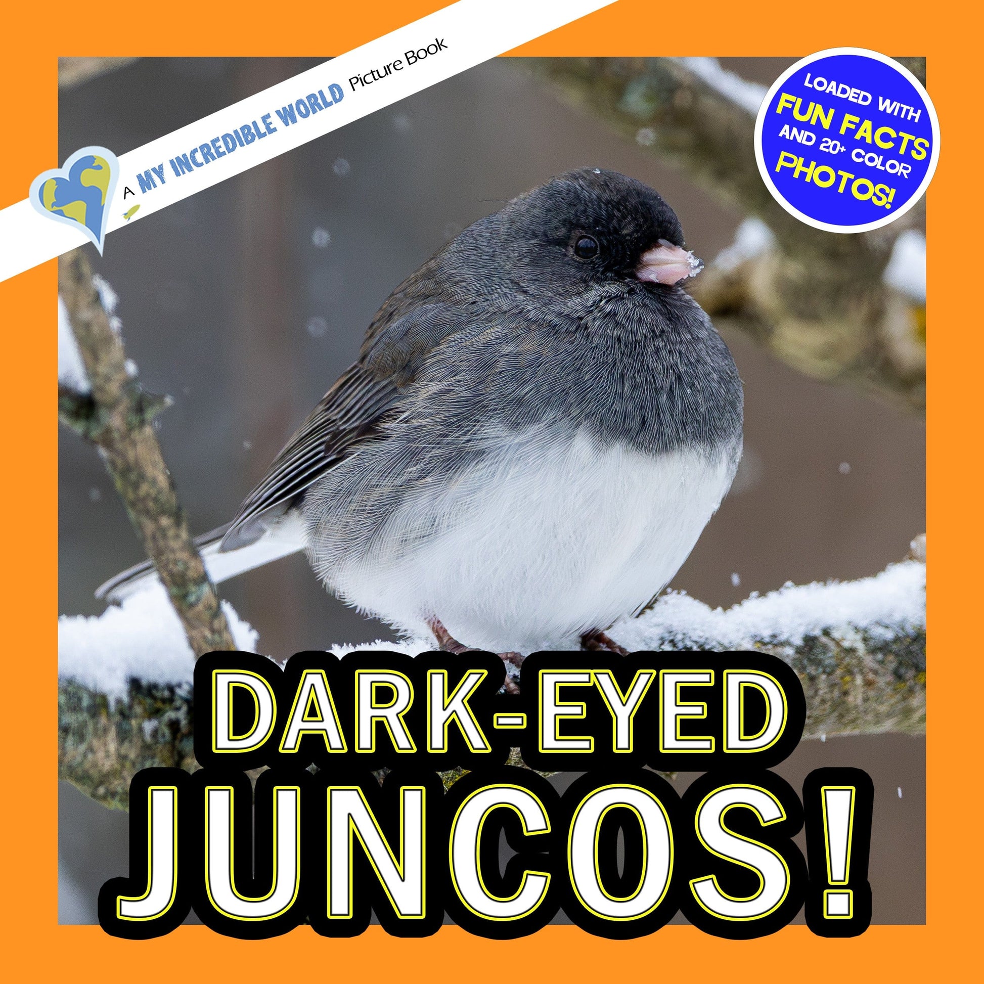 Dark-Eyed Juncos! A My Incredible World Picture Book for Children