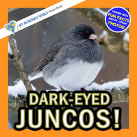 Dark-Eyed Juncos! A My Incredible World Picture Book for Children