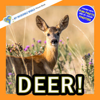 Deer! A My Incredible World Picture Book for Children