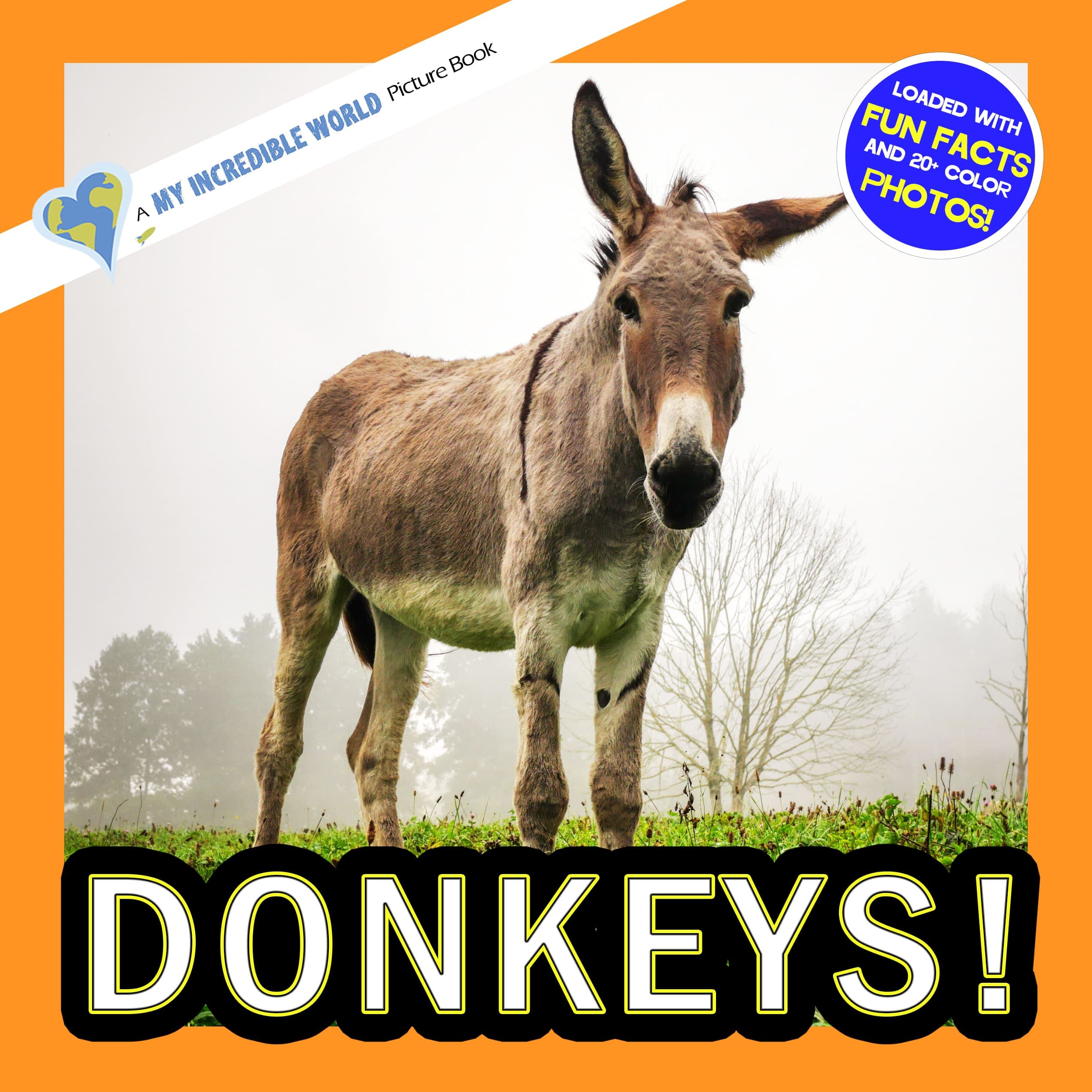 Donkeys! A My Incredible World Picture Book for Children