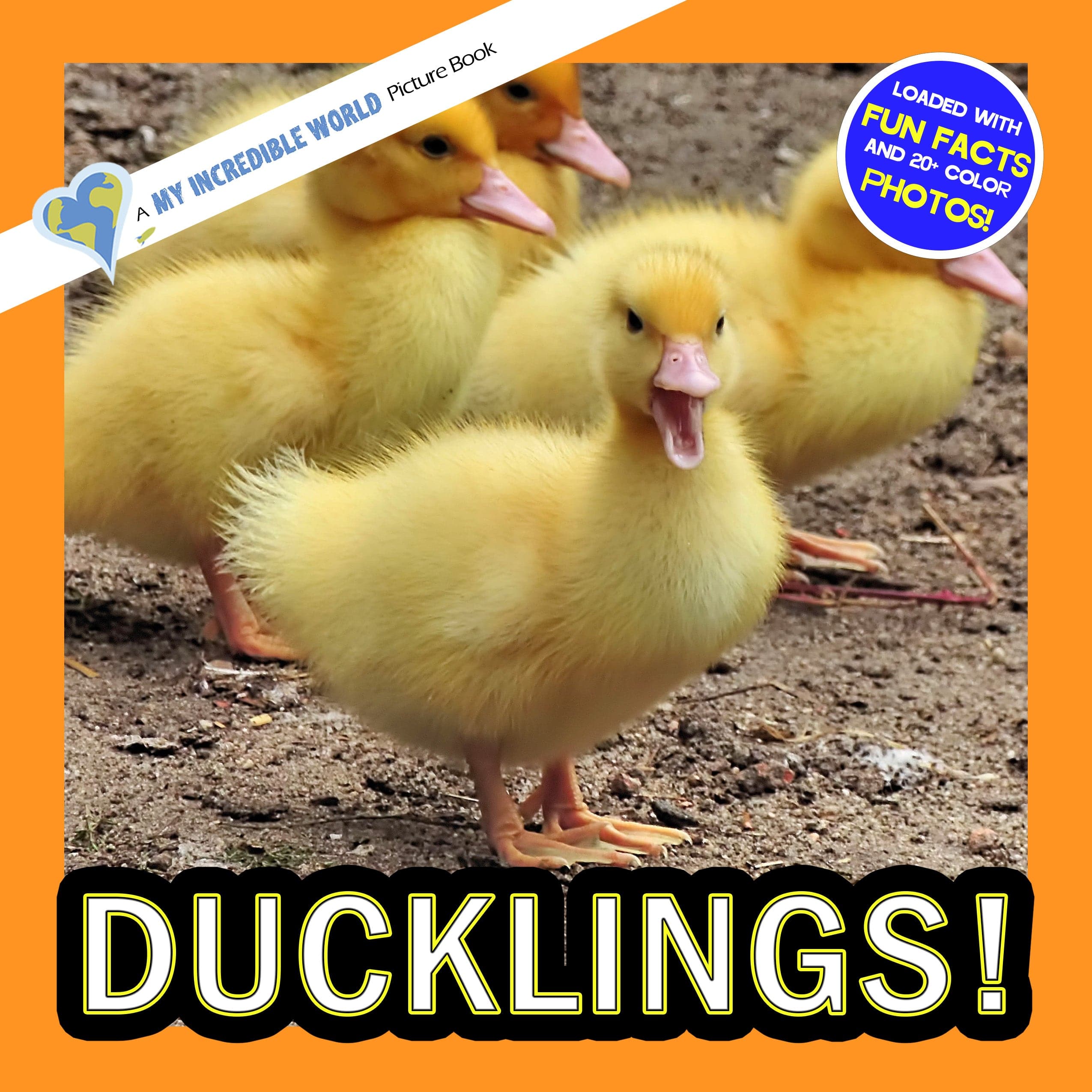 Ducklings! A My Incredible World Picture Book for Children