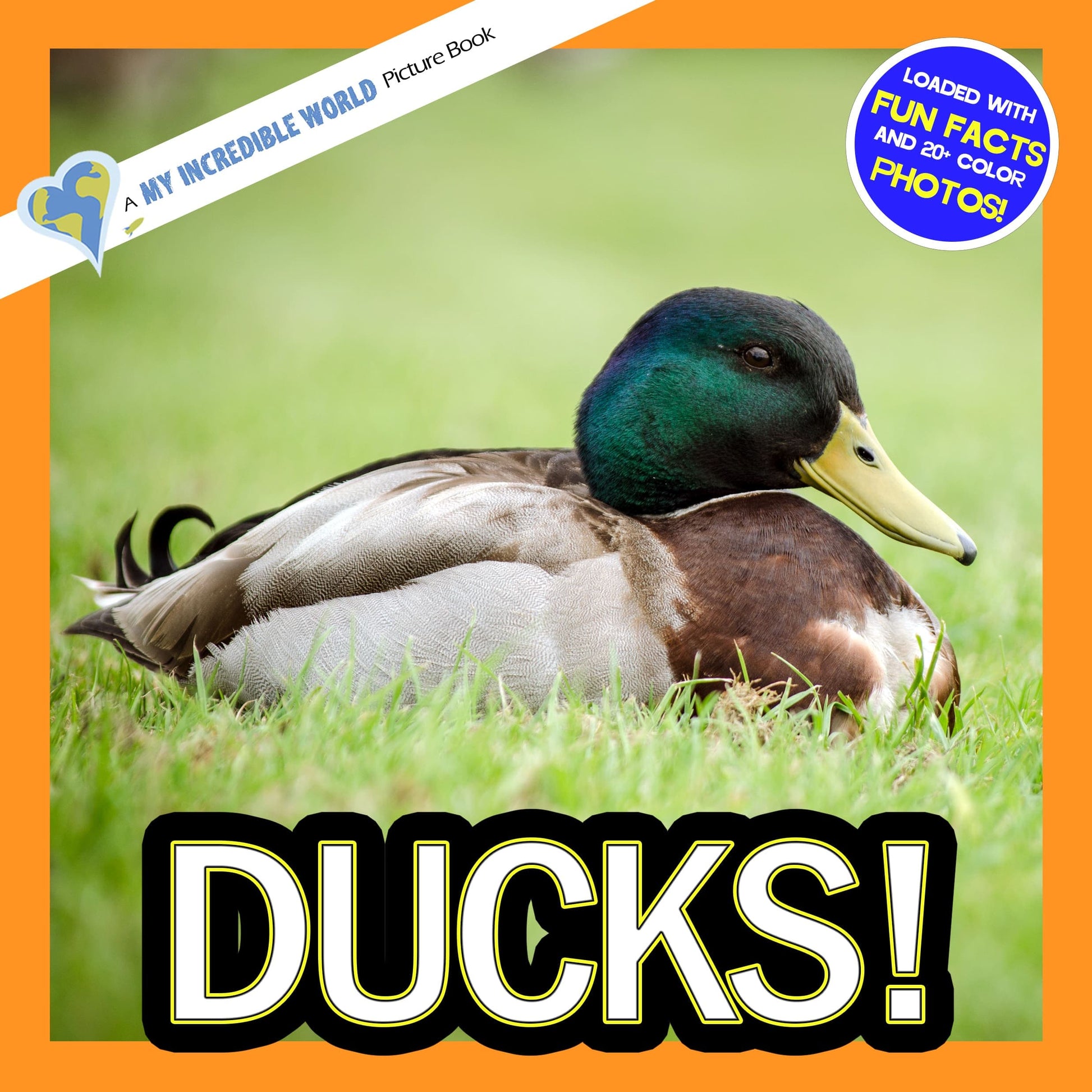 Ducks! A My Incredible World Picture Book for Children