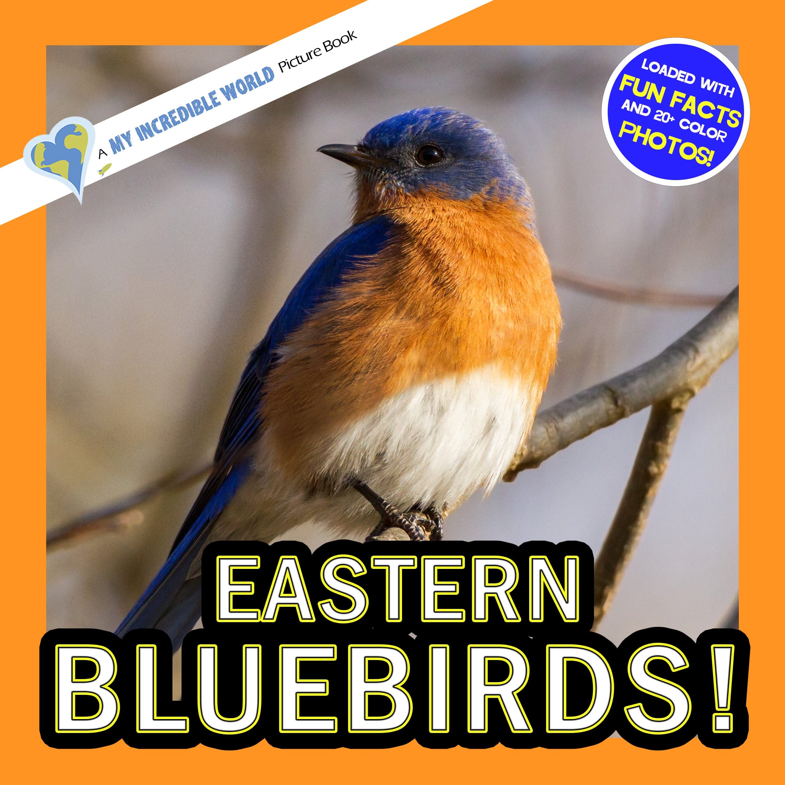Eastern Bluebirds! A My Incredible World Picture Book for Children