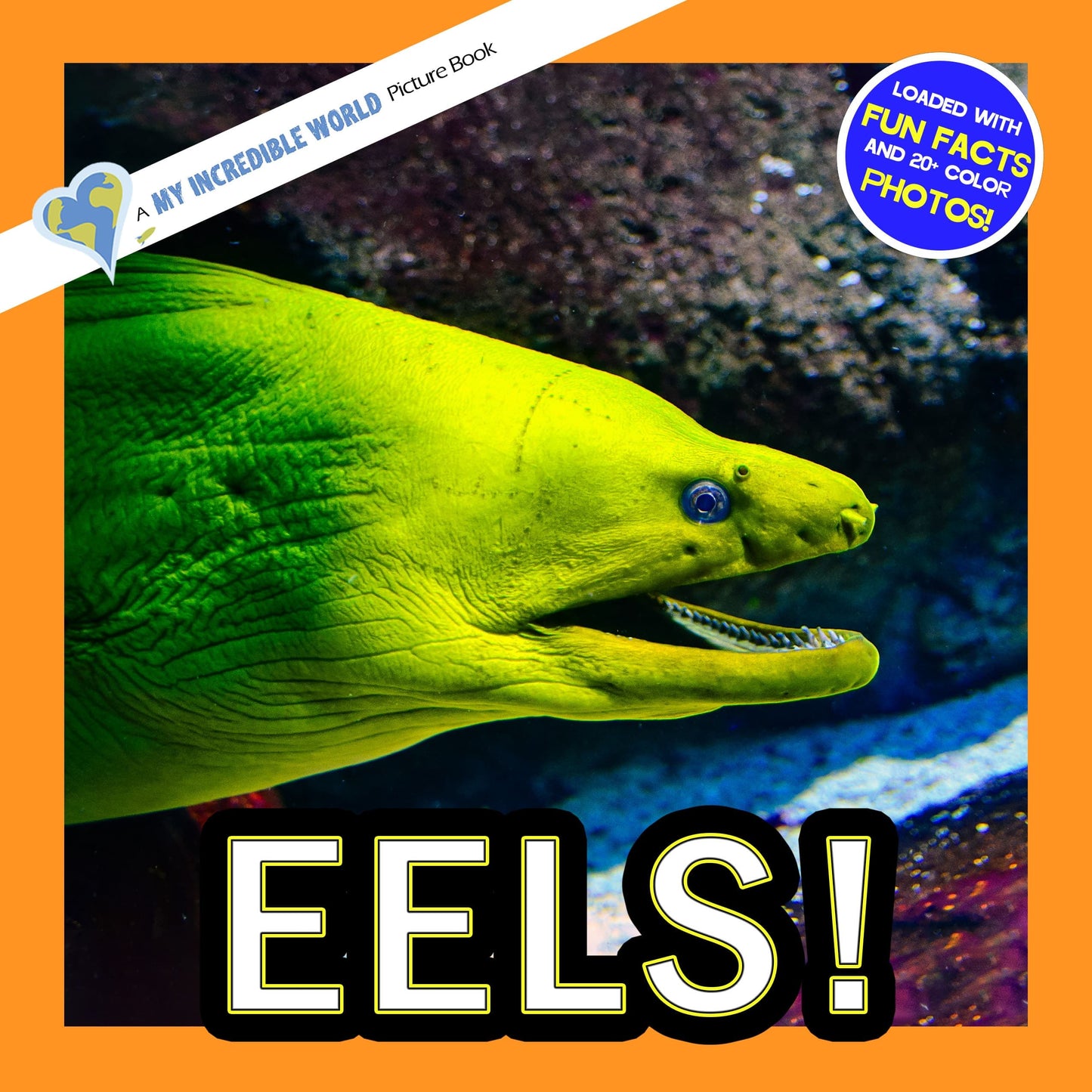 Eels! A My Incredible World Picture Book for Children