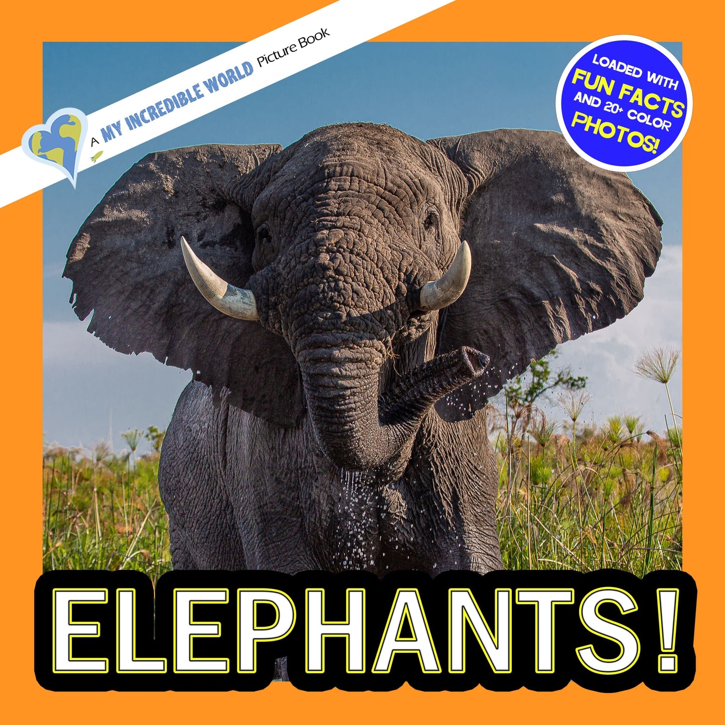 Elephants! A My Incredible World Picture Book for Children