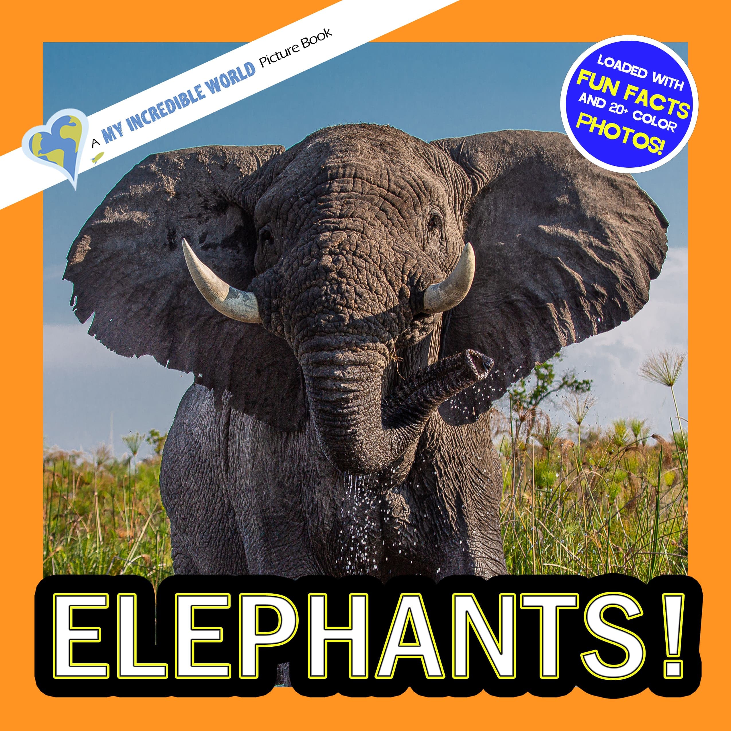 Elephants! A My Incredible World Picture Book for Children