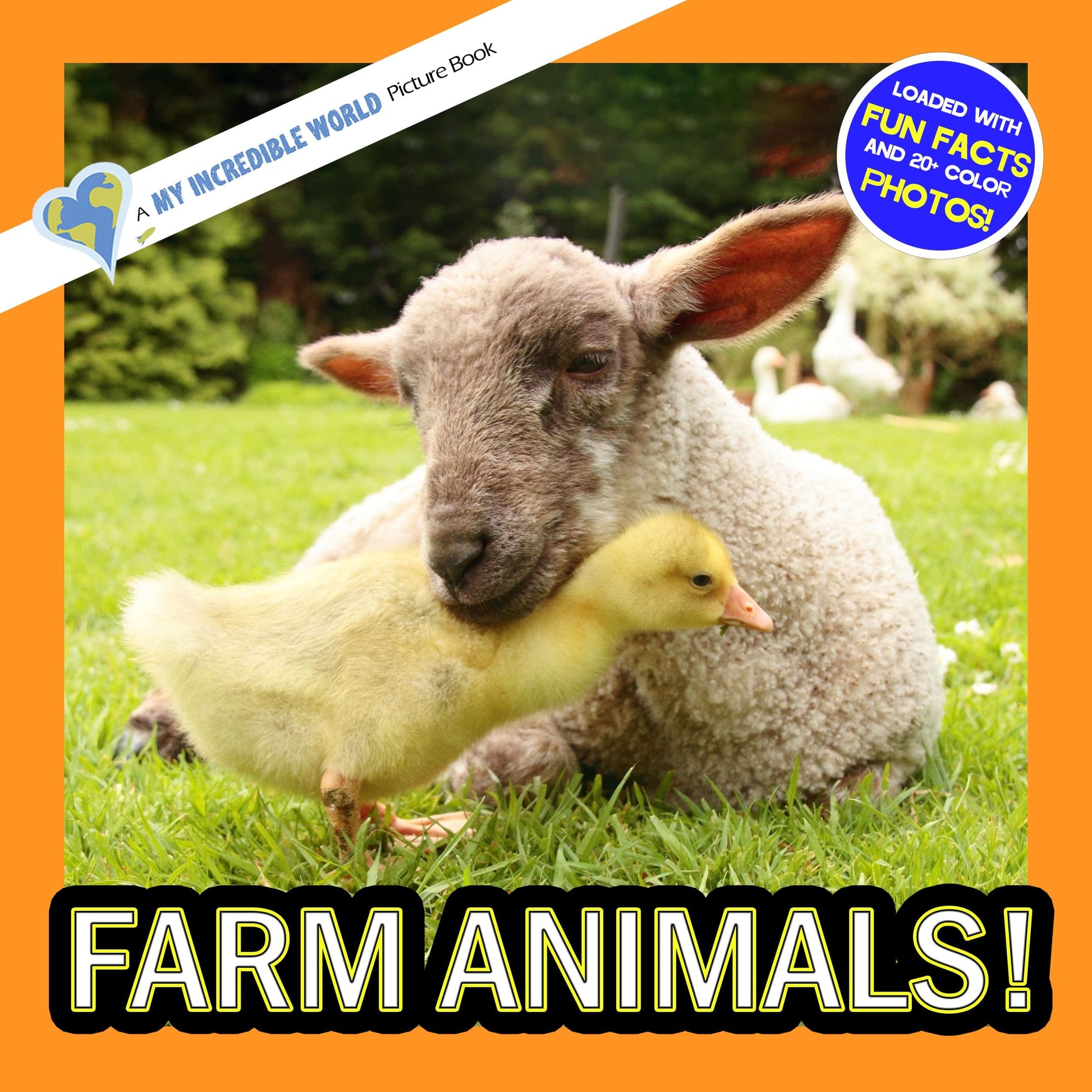 Farm Animals! A My Incredible World Picture Book for Children