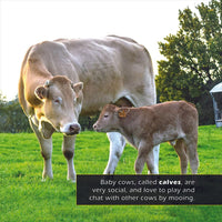 Farm Animals! A My Incredible World Picture Book for Children