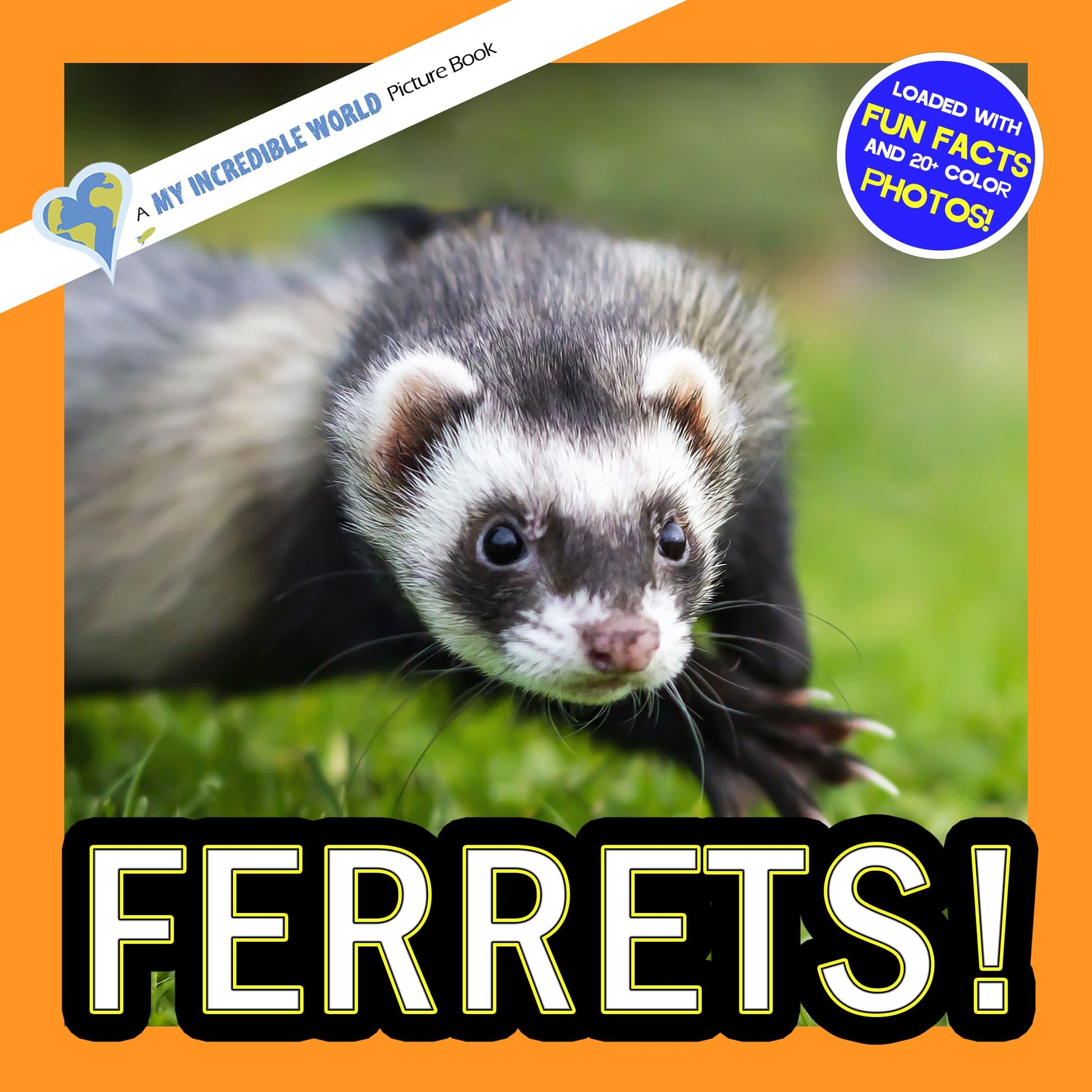 Ferrets! A My Incredible World Picture Book for Children