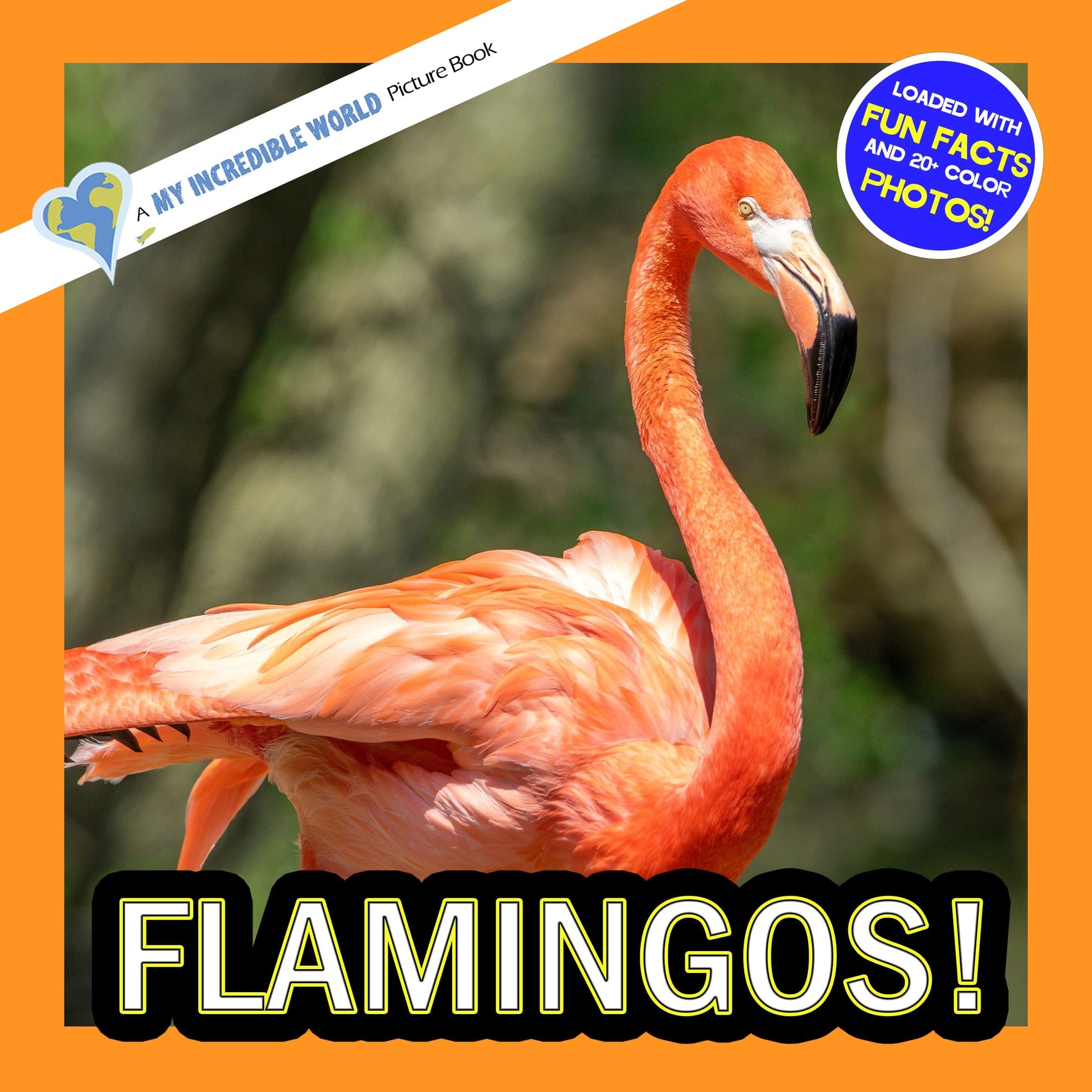 Flamingos! A My Incredible World Picture Book for Children