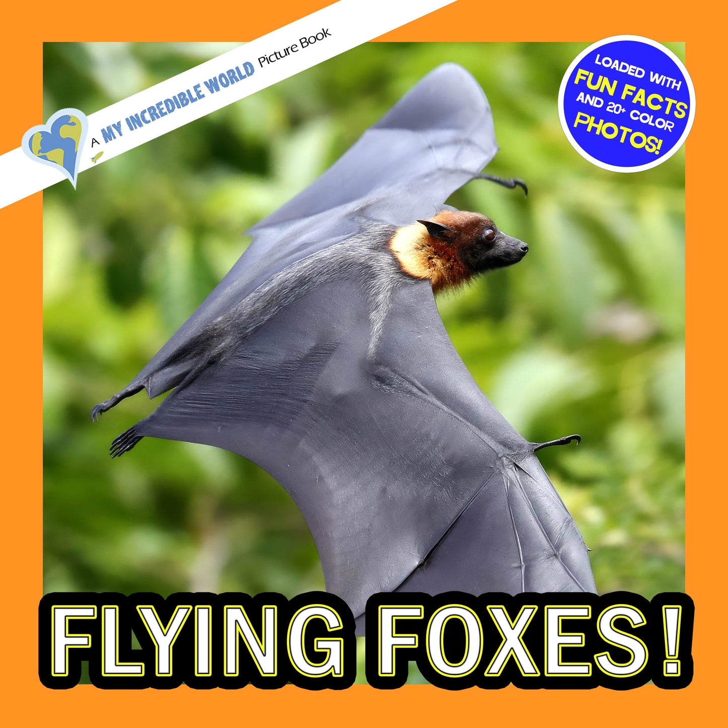 Flying Foxes! A My Incredible World Picture Book for Children