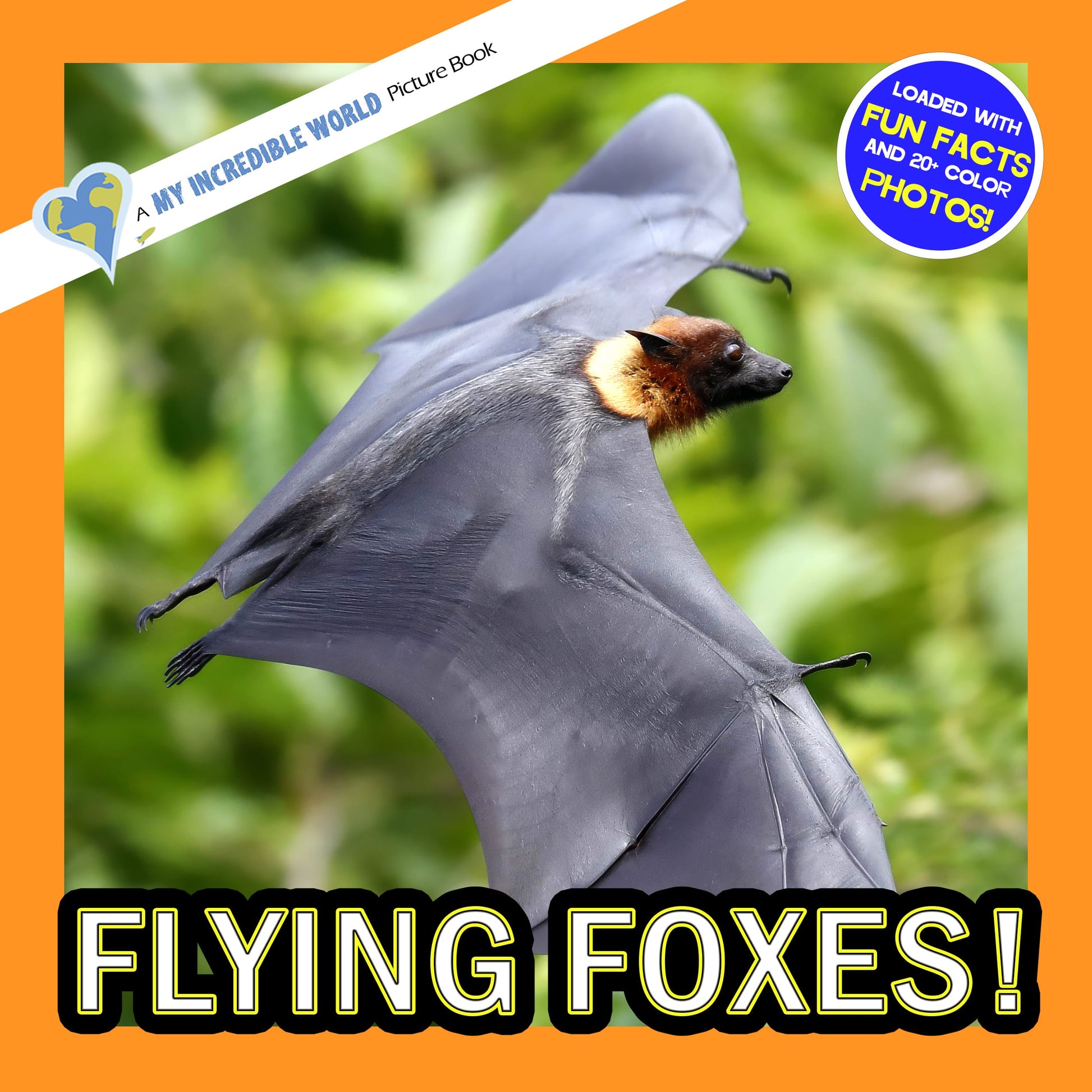 Flying Foxes! A My Incredible World Picture Book for Children